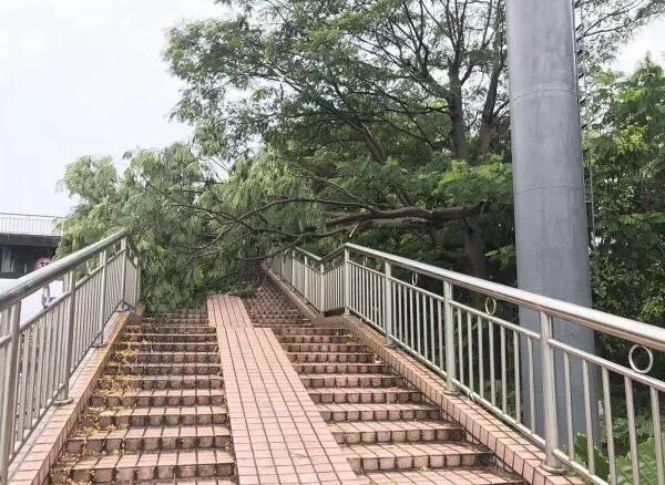 “天鴿”登陸了又怎樣，智彤印刷正常發(fā)放福利！